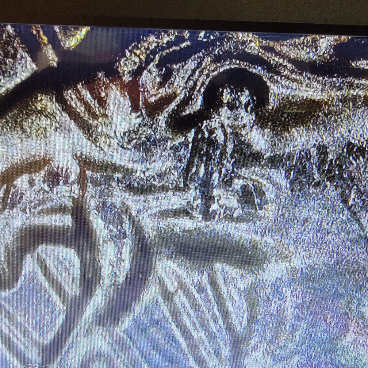 2023 half with defect.