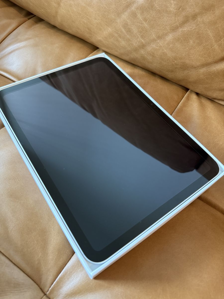 iPad (A16) Wi-Fi + Cellular 256GB