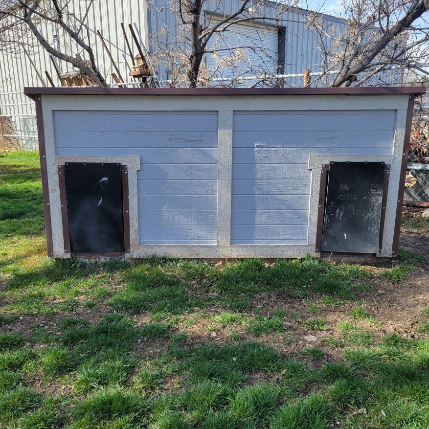 large dog house