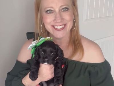 F1B Reverse Cavapoo Puppies… FOR EASTER!!