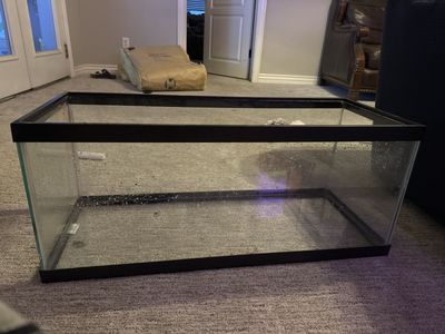 20 gallon long glass tank and lid