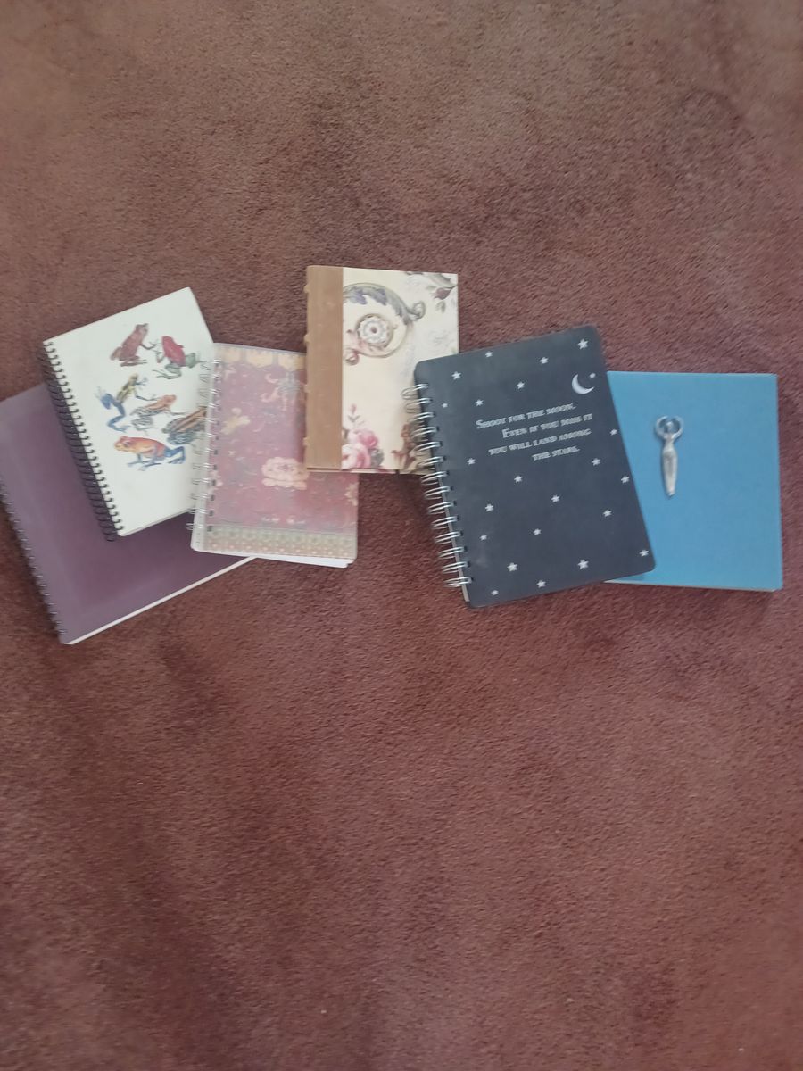 Blank Journals