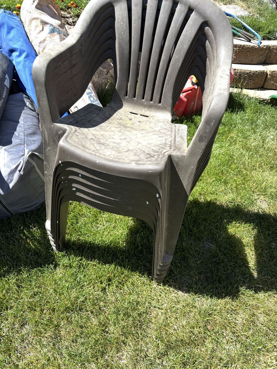 Shed clean out