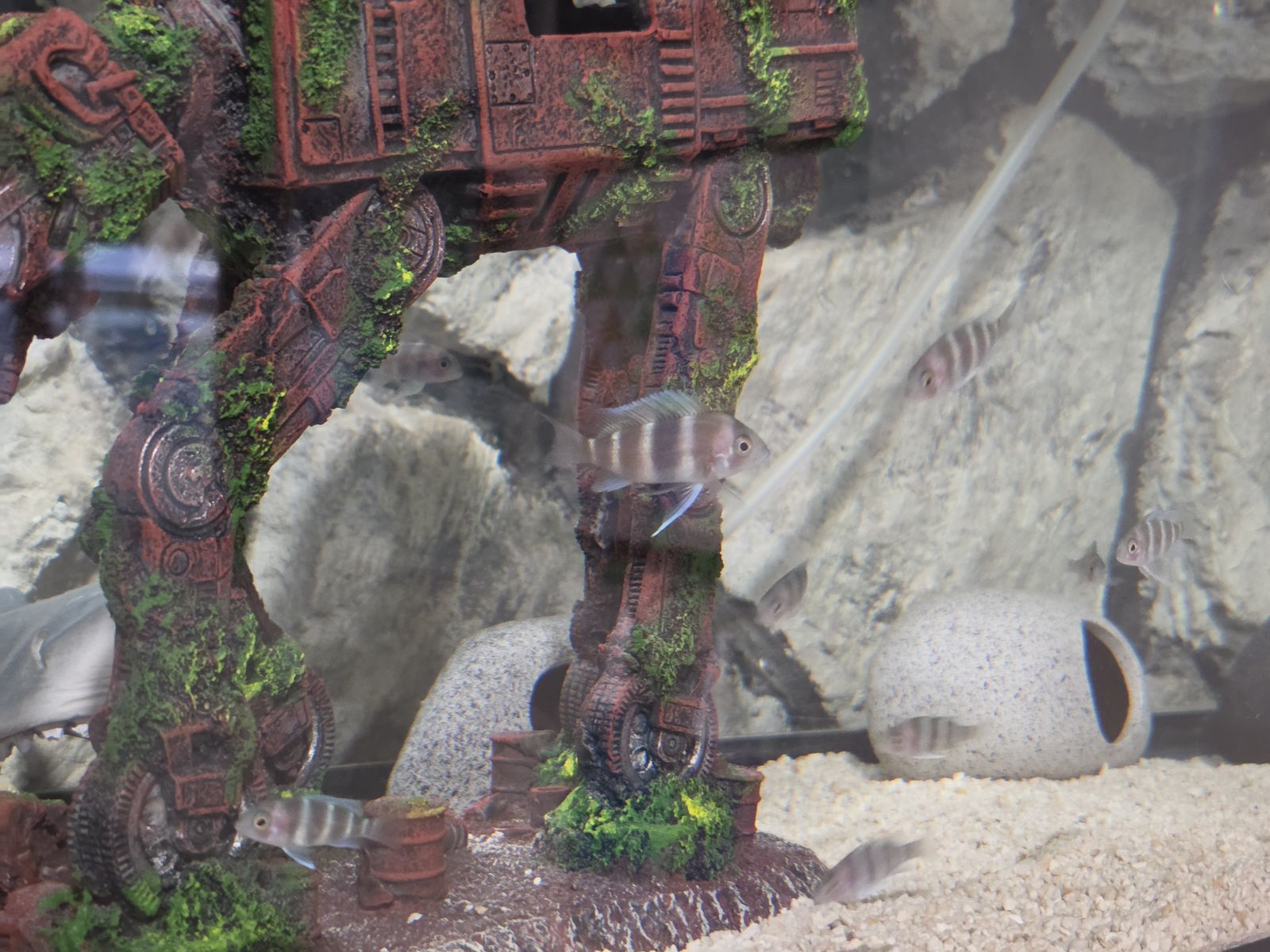 Main image 2