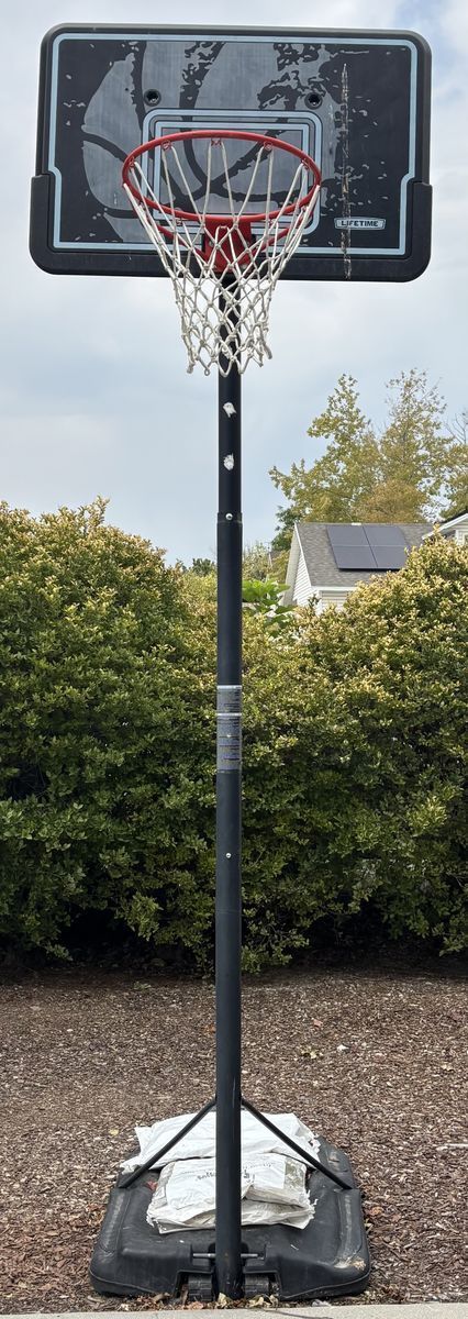Lifetime Basketball Hoop