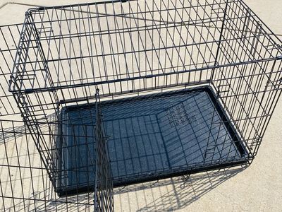 Folding Wire Dog Crate 36 Inch Black Metal Crate with Removable Tray