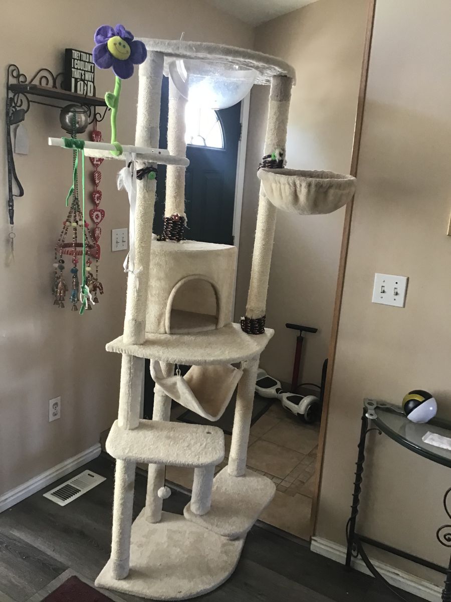 YOUR CAT WILL LOVE THIS ONE!!!