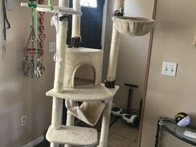 YOUR CAT WILL LOVE THIS ONE!!!