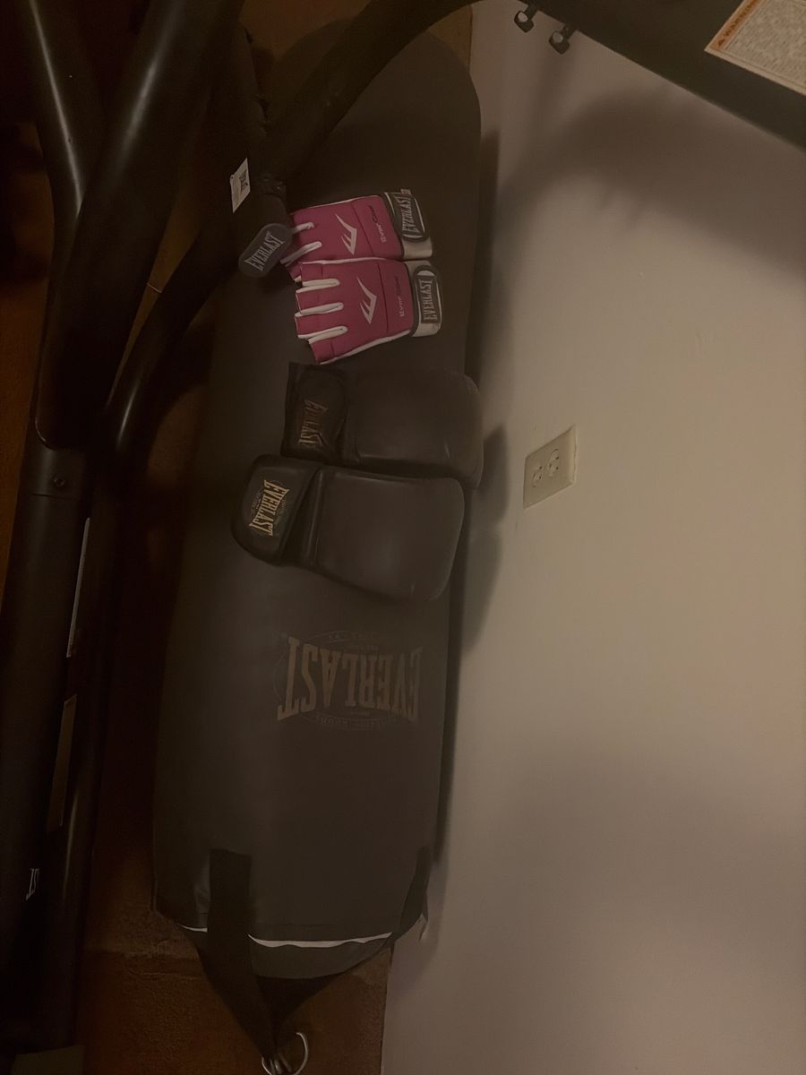 Everlast 100lb Bag And Stand