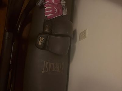 Everlast 100lb Bag And Stand