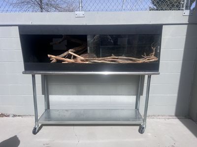 OBO!! Retile Enclosure(s),Table, Reptile Stuff