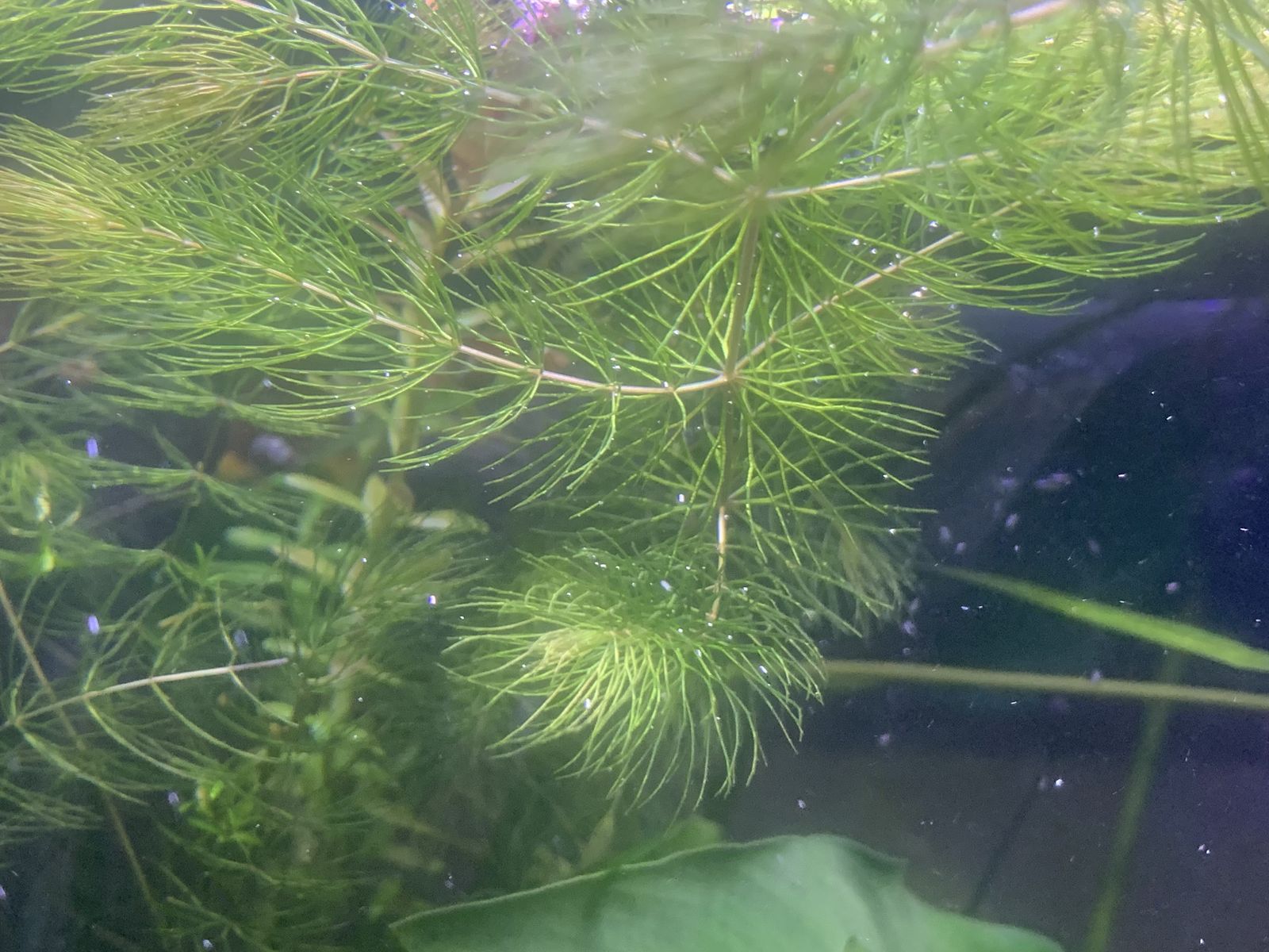 Main image 3