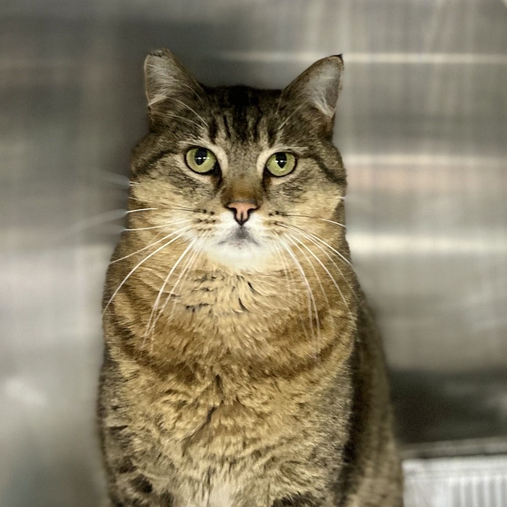 Hello my name is Donnie