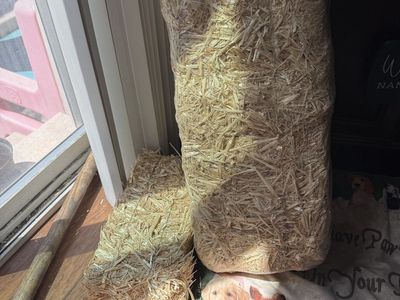 2 decorative hay bales