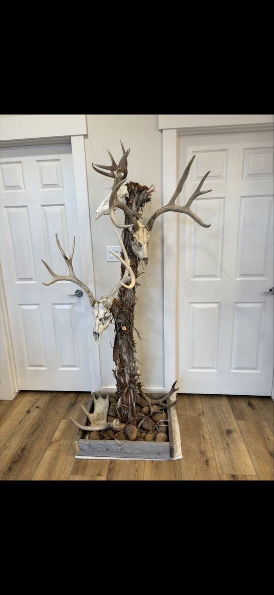 Deer skull hanger