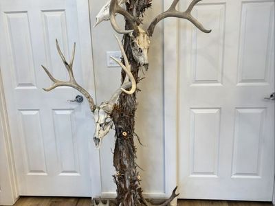Deer skull hanger