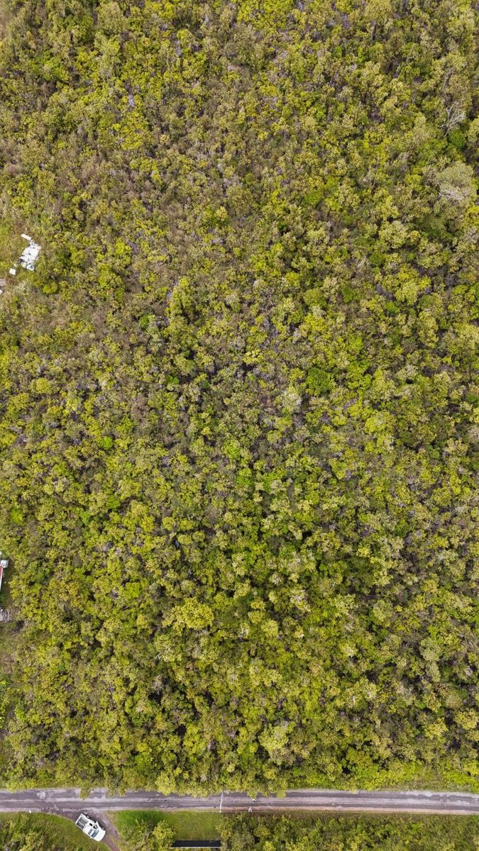 Off-grid Retreat – 3 Acres in Fern Forest