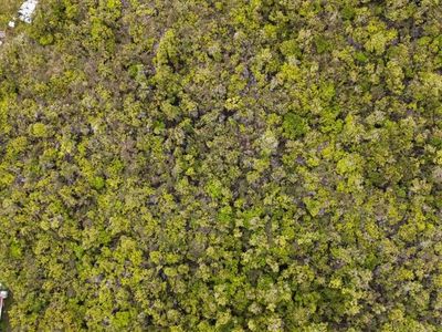 Off-grid Retreat – 3 Acres in Fern Forest