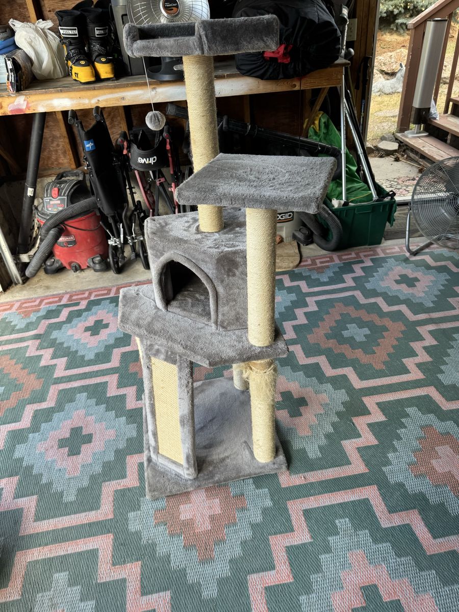 Main image 4