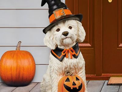 26in Halloween Dog Greeter, Doodle 1784962 #107324