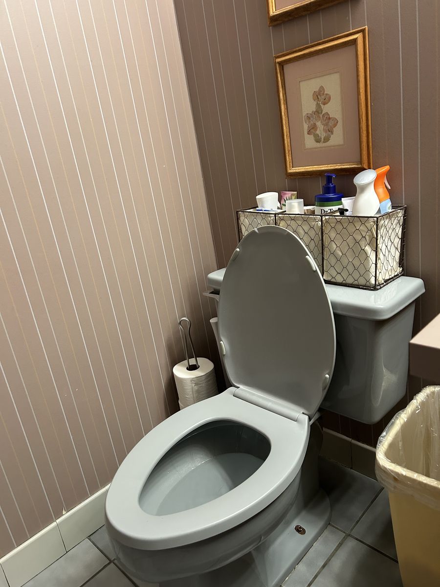 Vintage sink & toilet