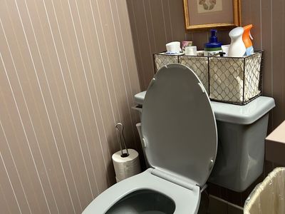 Vintage sink & toilet