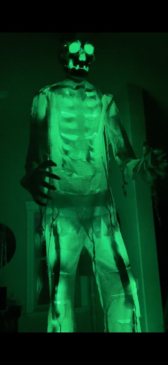 Main image 5