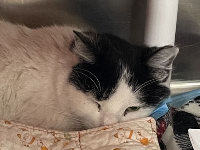 Hello my name is Gaia