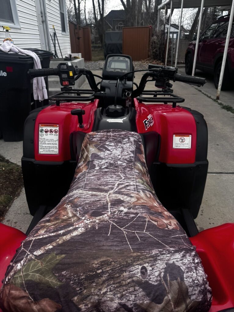 2002 Honda Fourtrax/Rubicon