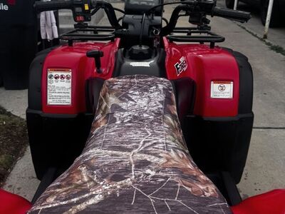 2002 Honda Fourtrax/Rubicon