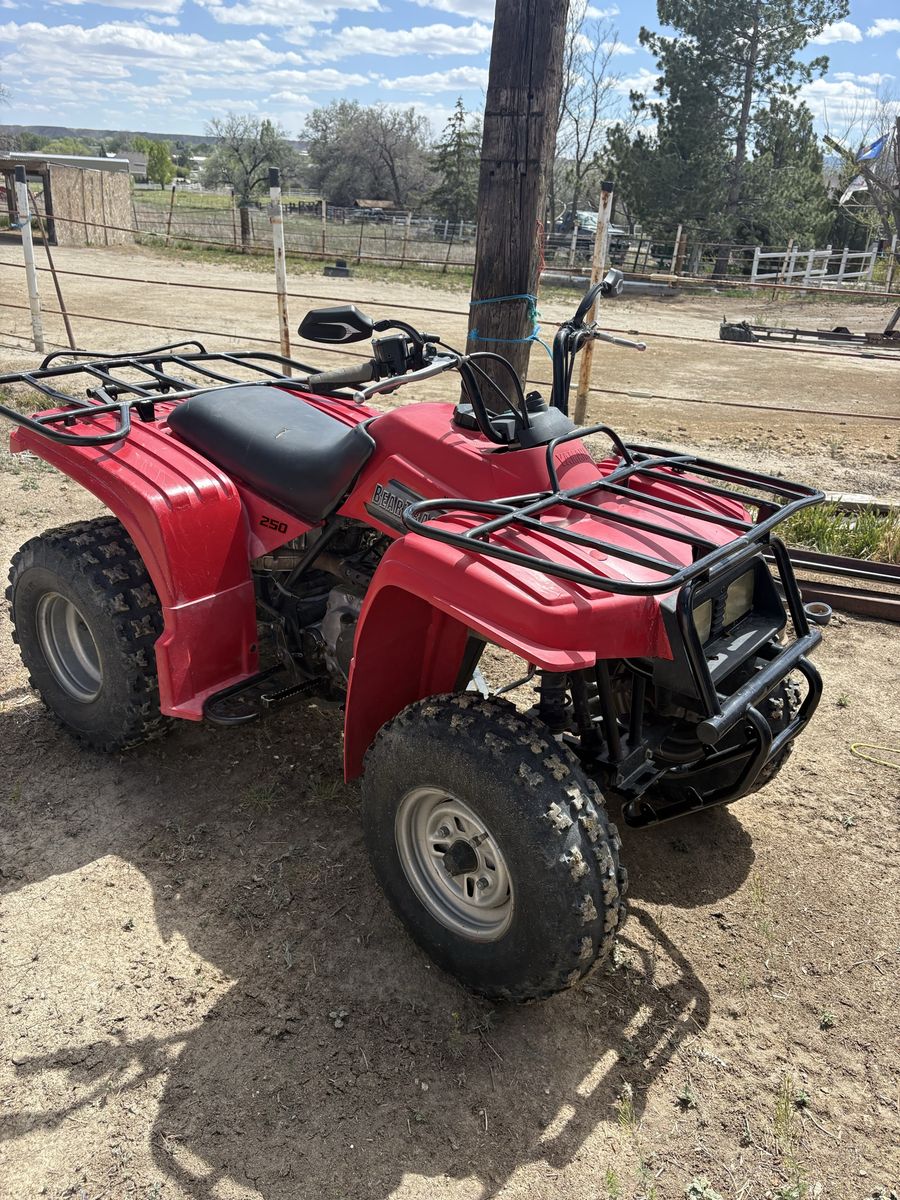 Bear Tracker 250