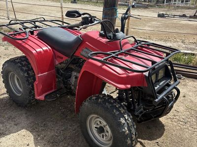 Bear Tracker 250