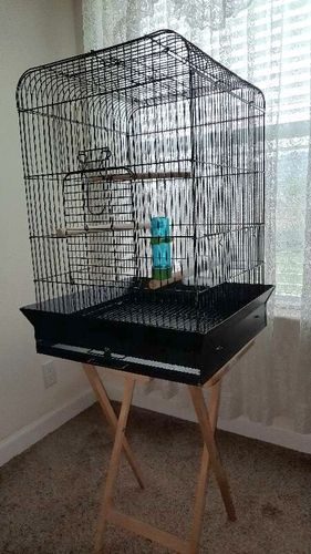 Large bird cage