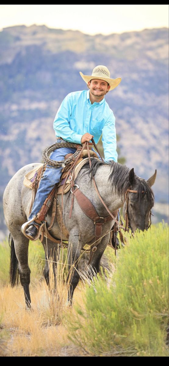 Blue Roan stud service