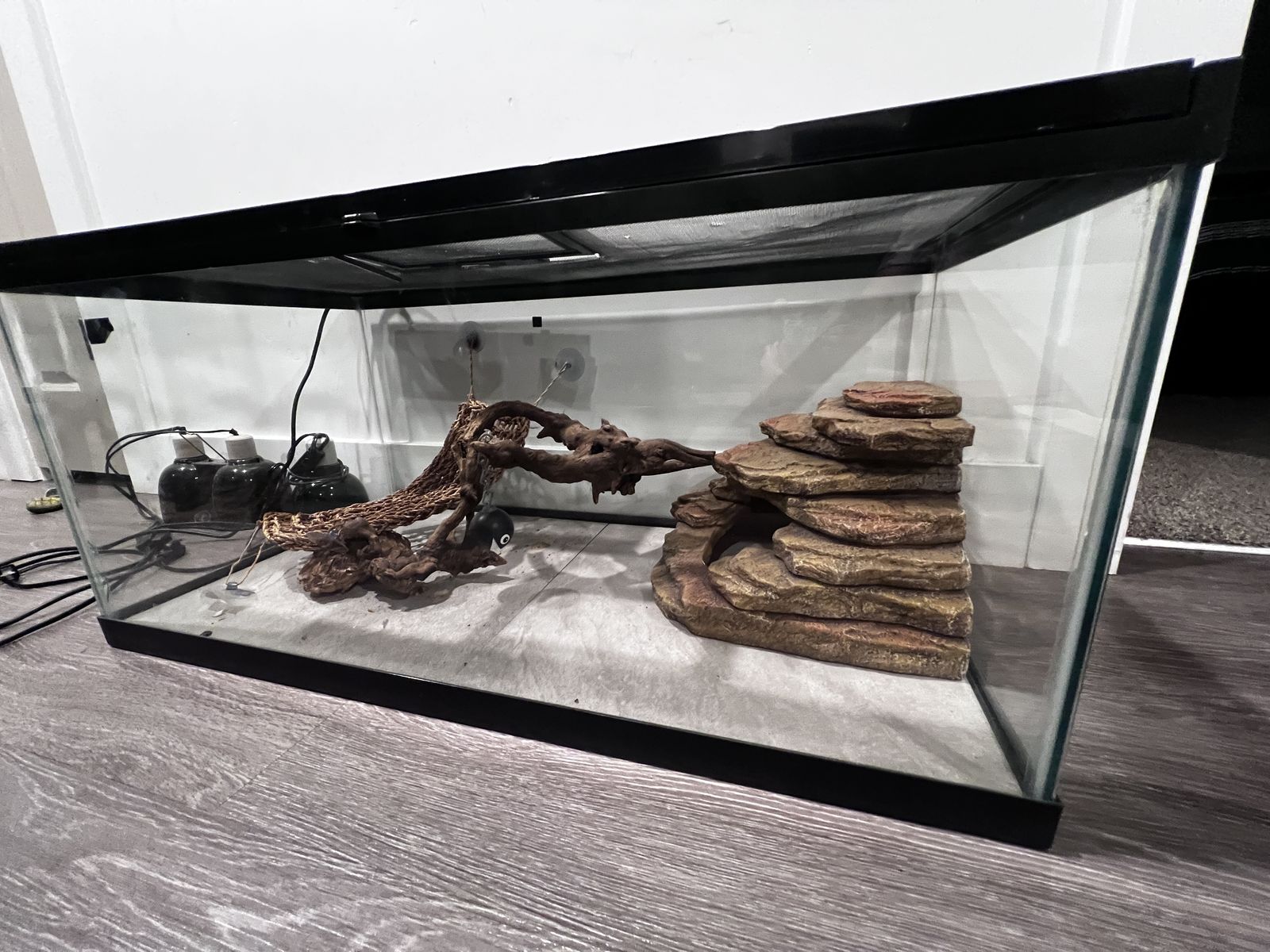 Zoo Med 40 gallon Bearded Dragon/Reptile Enclosure Tank