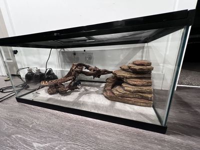 Zoo Med 40 gallon Bearded Dragon/Reptile Enclosure Tank