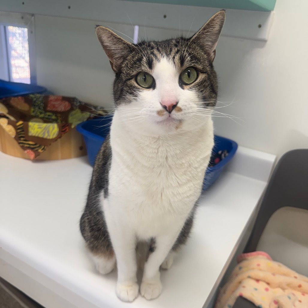 Hello my name is Huey