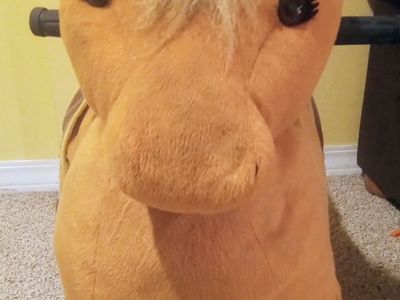 Kids animal rider toy