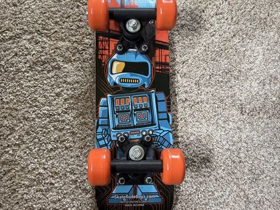 SkateRudeBoyz Robot 17” skateboard