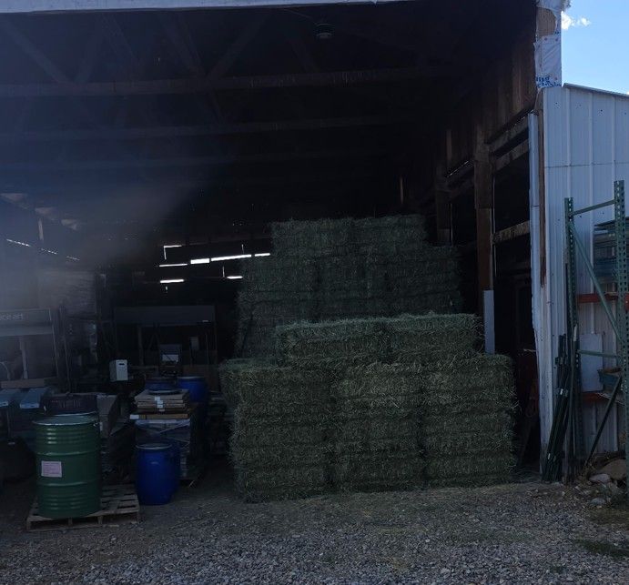 Alfalfa Hay Grass Mix