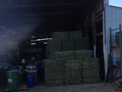 Alfalfa Hay Grass Mix