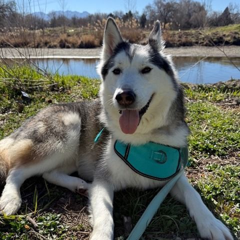 Hello my name is Nakita