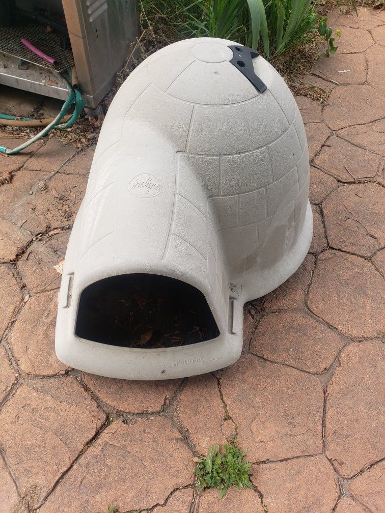 Dog igloo