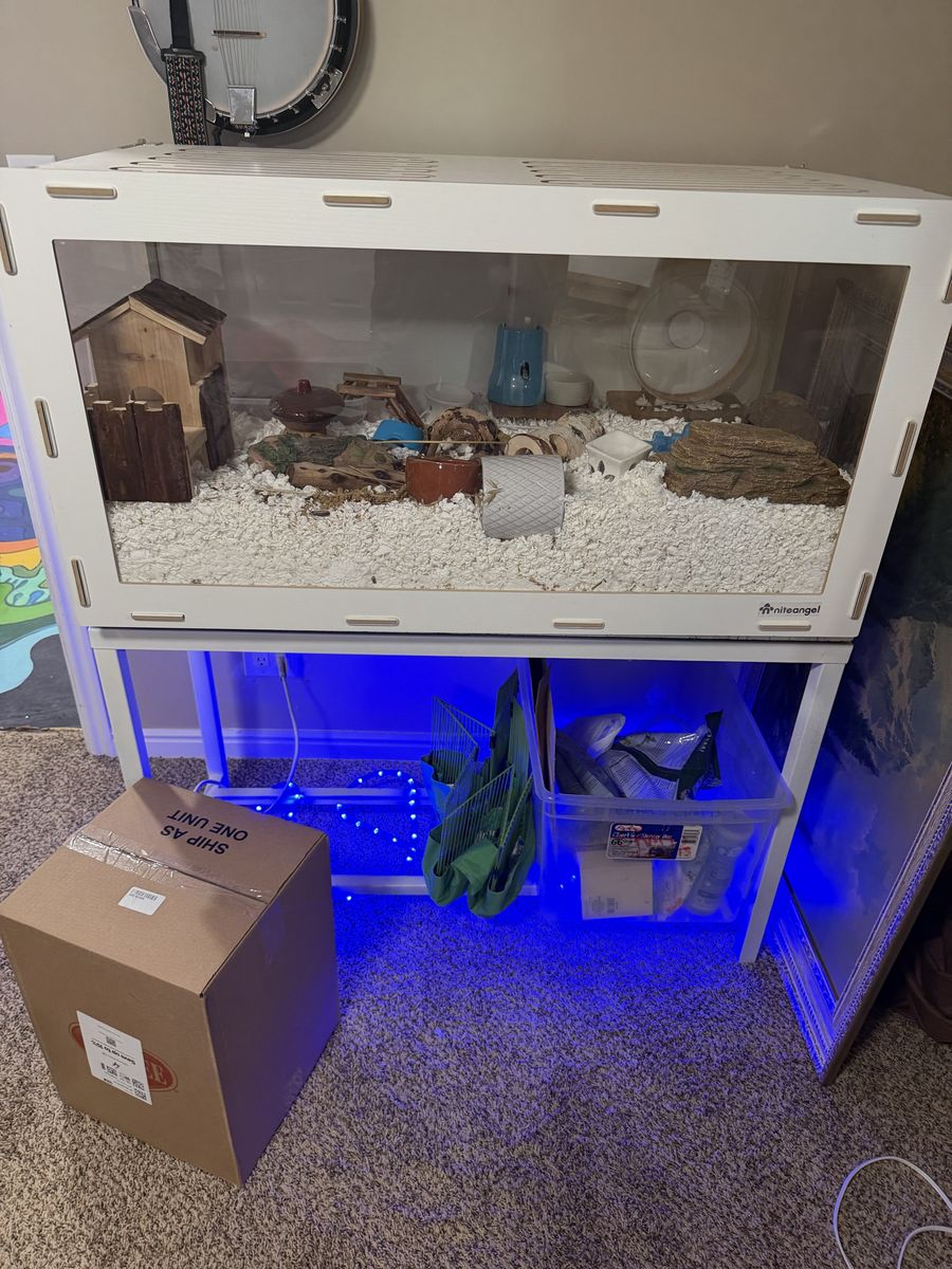 Hampster And Full Settup