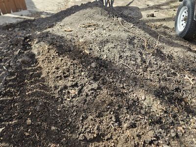 free fill or garden dirt!