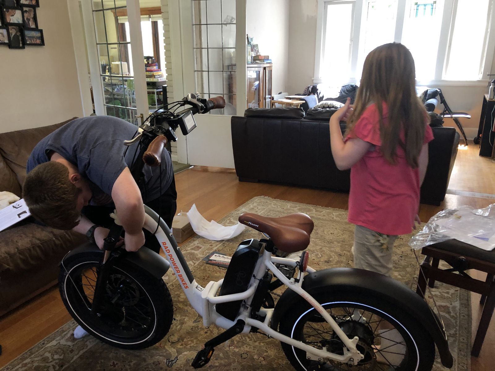 Rad Power Electric Bike