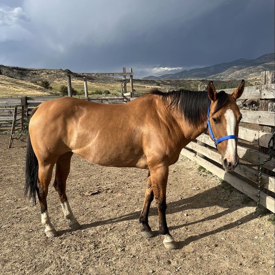 Dun Mare