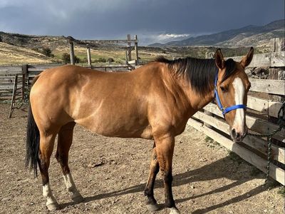 Dun Mare