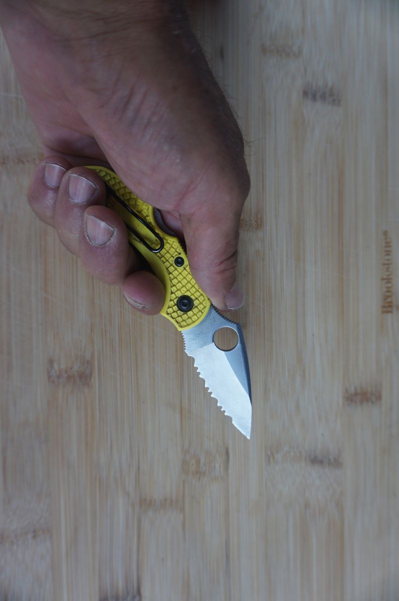 Spyderco Dragonfly Salt 2 Serated Blade