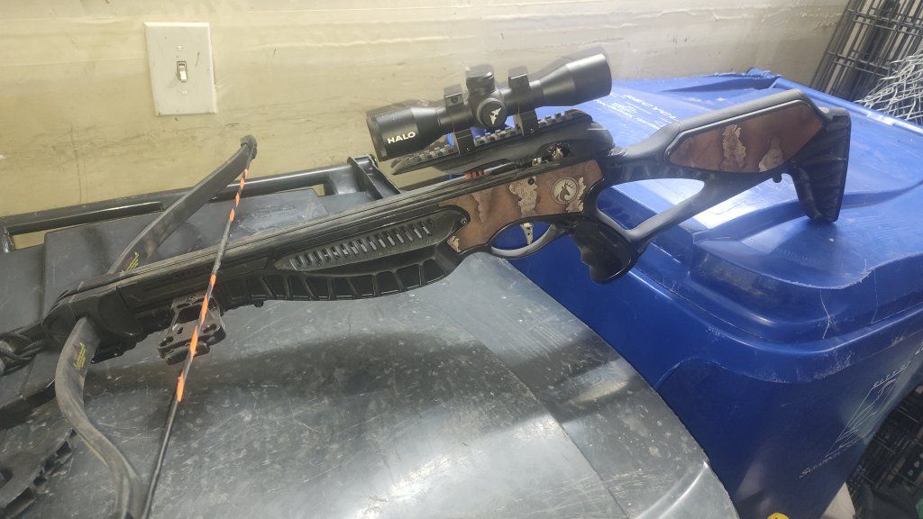 barnett wildcat crossbow